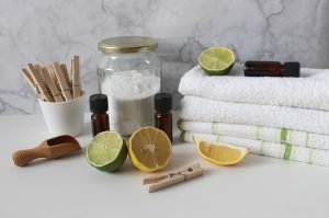 4 Deterrents to Moth Proof your Home
